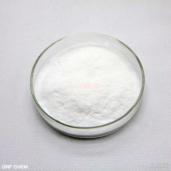 Acides aminés d'addition alimentaire L-Valine poudre blanche CAS 72-18-4