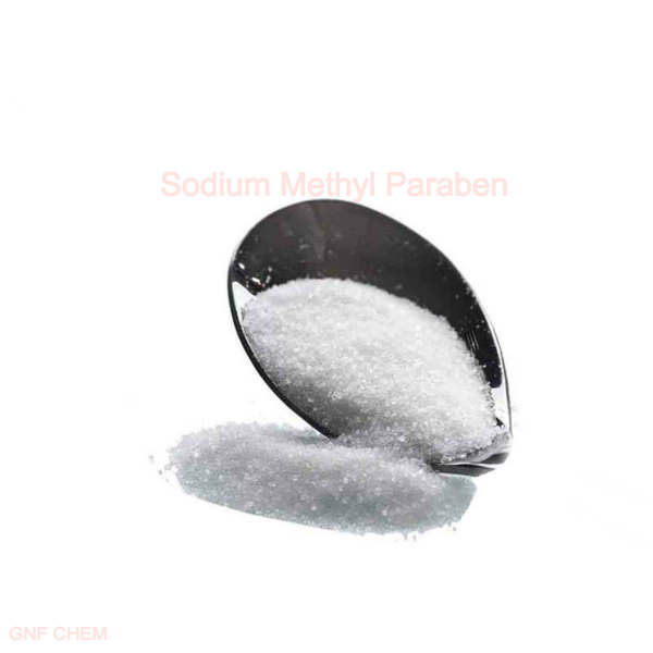 Paraben méthylique de sodium conservateur CAS 5026-62-0 d'antioxydants