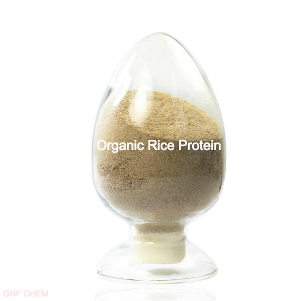 Additifs alimentaires Protéine de riz de qualité alimentaire CAS N/A