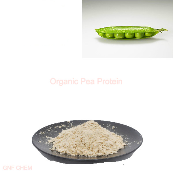 Protéine de pois biologique de qualité additifs alimentaires CAS 90-10-0
