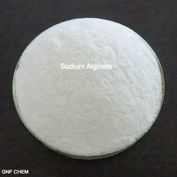 Alginate de sodium de catégorie d'additifs tensioactifs absorbants CAS 9005-38-3