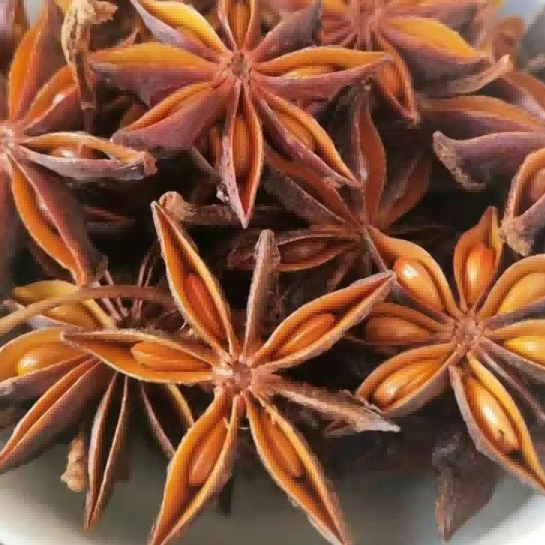 Food additive Essence and fragrance GNF Condiment Star anise